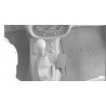 Brodit ProClip Console mount, Angled - Renault Clio I 1999-2001