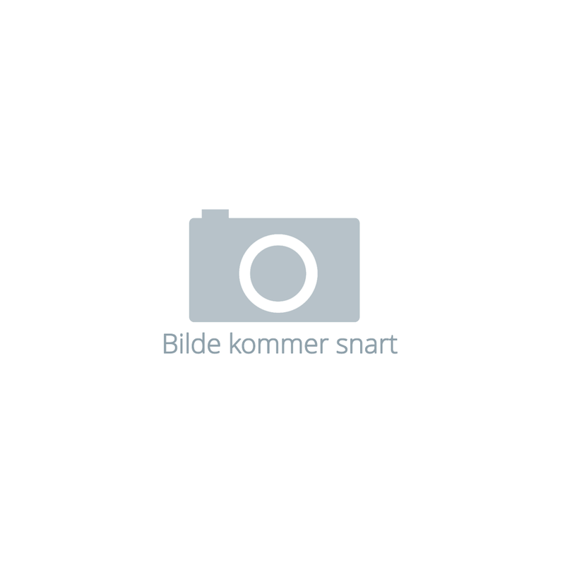 Brodit Passiv Bilholder Apple iPhone 12 Pro Max Brodit Passiv Bilholder Apple iPhone 12 Pro Max